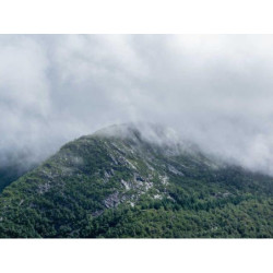 Intelligent Bronze Watch fr-FR